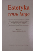 Estetyka sensu largo