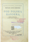 Pod Polską Banderą 1929 r.