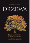Drzewa Przewodnik Collinsa