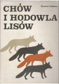 Chów i hodowla lisów