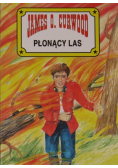 Płonący las