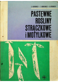 Pastewne rośliny strączkowe i motylkowe