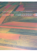 Nastroje małopolskie