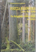 Puszcza Białowieska Cztery Pory Roku