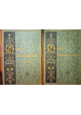 Deutsche Literaturgeschichte Tom I i II 1910 r.