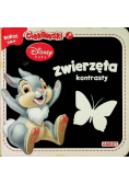 Zwierzęta kontrasty