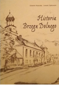 Historia Brzegu Dolnego