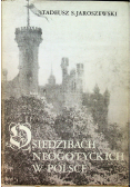 O siedzibach niegotyckich w Polsce