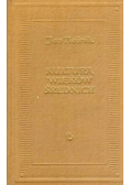 Kultura Wieków średnich