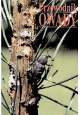 Przewodnik Owady