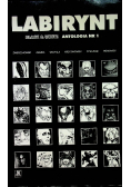 Labirynt antologia 1