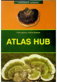 Atlas hub