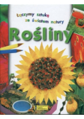 Łączymy sztukę ze światem natury Rośliny