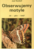 Obserwujemy motyle. Jak – gdzie – kiedy?