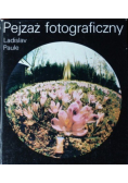Pejzaż fotograficzny