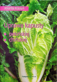 Uprawa kapusty pekińskiej chińskiej