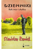 Dzienniki Rok 1920 i  okolice