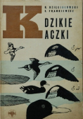 Dzikie kaczki
