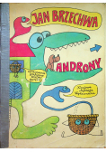 Jan Brzechwa-Androny