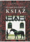 Stado ogierów książ