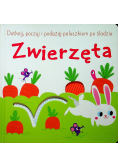 Dotknij poczuj i podążaj po śladzie Zwierzęta