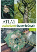 Atlas uszkodzeń drzew leśnych T1
