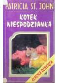 Kotek niespodzianka