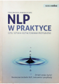 NPL w praktyce czyli sztuka kształtowania przyszłości