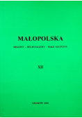 Małopolska Regiony regionalizmy małe ojczyzny Tom 7