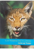 Ilustrowana encyklopedia zwierząt Polski