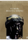 Sumer Miasta Edenu