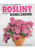 Rośliny doniczkowe