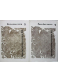 Zamojszczyzna Sonderlaboratorium SS tom I i II
