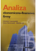 Analiza ekonomiczno - finansowa firmy