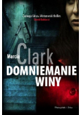 Domniemanie winy