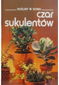 Rośliny w domu Czar sukulentów
