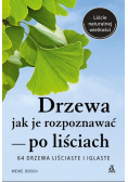 Drzewa - jak je rozpoznawać po liściach