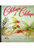 Chlup i chlap
