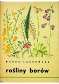 Rośliny borów