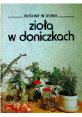 Zioła w doniczkach