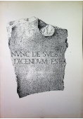 Nvnc de svebis dicendvm est