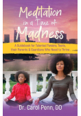 Meditation in a Time of Madness