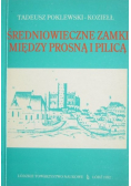 Średniowieczne zamki między Prosną i Pilicą