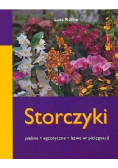 Storczyki