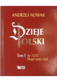 Dzieje Polski Tom I