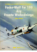 Focke Wulf Fw 190 Asy Frontu Wschodniego