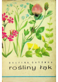 Rośliny łąk