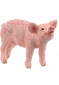 Prosię