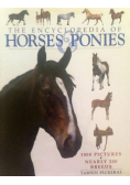 The Encyclopedia of Horses Ponies