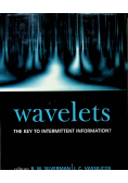 Wavelets